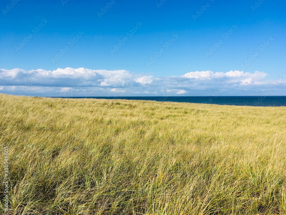The protected grassy dunes of the national seashore in Cape Cod near Provincetown Massachusetts on a sunny blue sky day. The protected grassy dunes of the national seashore in Cape Cod near Provincetown Massachusetts on a sunny blue sky day.
