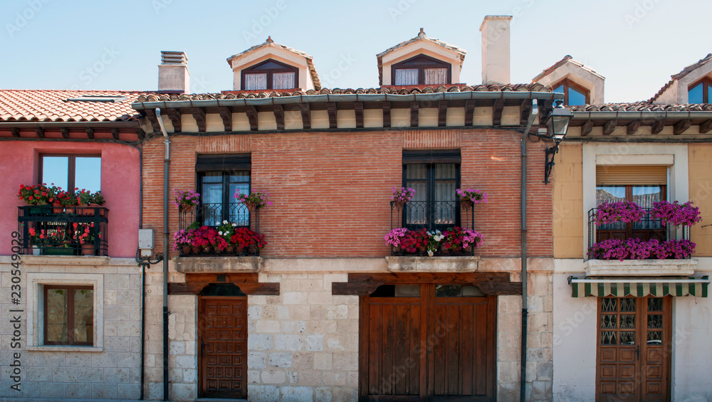 Cobbled street in the Spanish city of Burgos, are plants in their windows