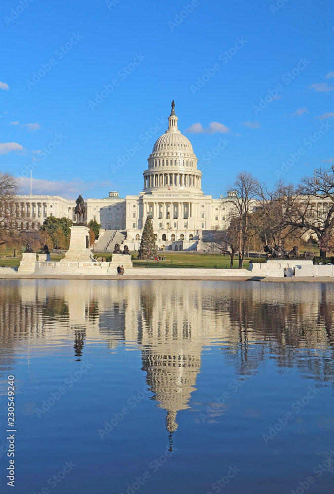 Back of the United States Capitol building and reflecting pool vertical