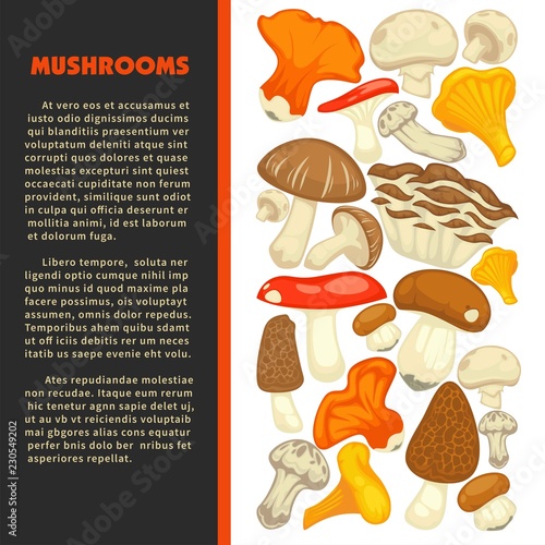 Ripe forest mushrooms of all edible species on promotional poster with sample text