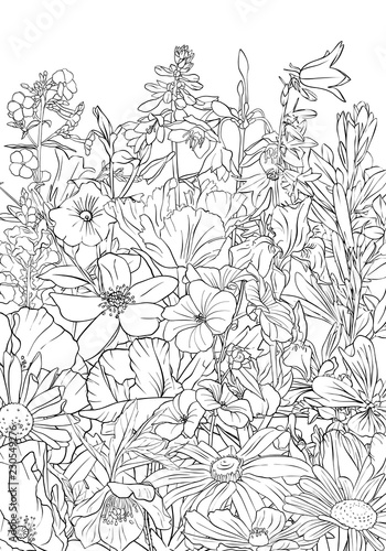 vector drawing background with flowers