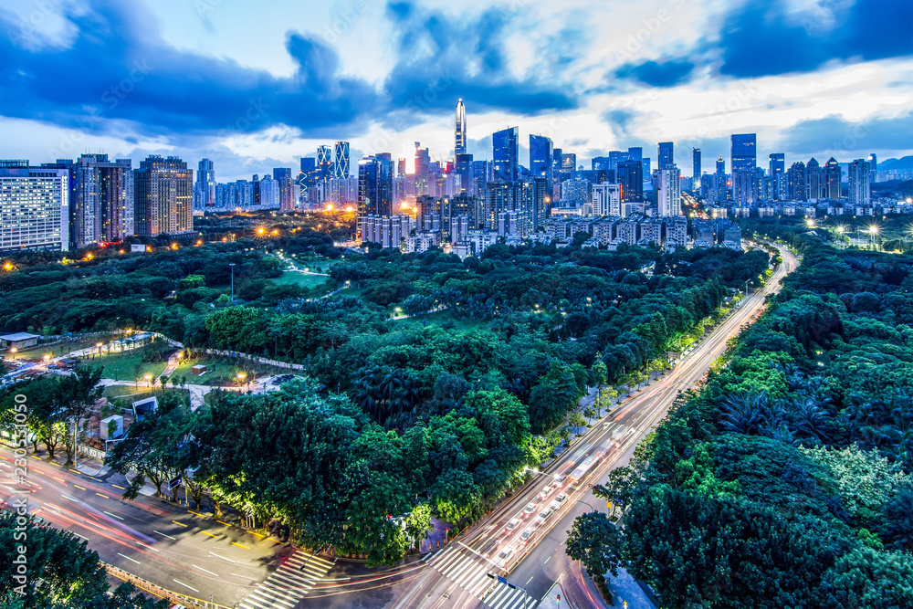 Fototapeta premium Shenzhen Central Park City Nightscape Skyline