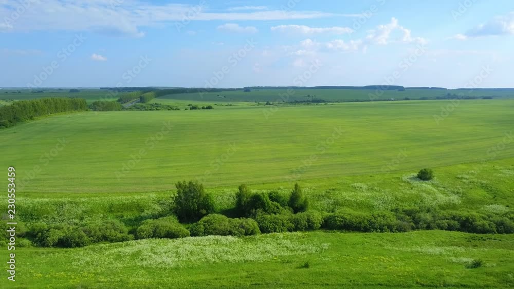 Aerial view green field, forest and blue sky with white clouds Aerial view green field, forest and blue sky with white clouds