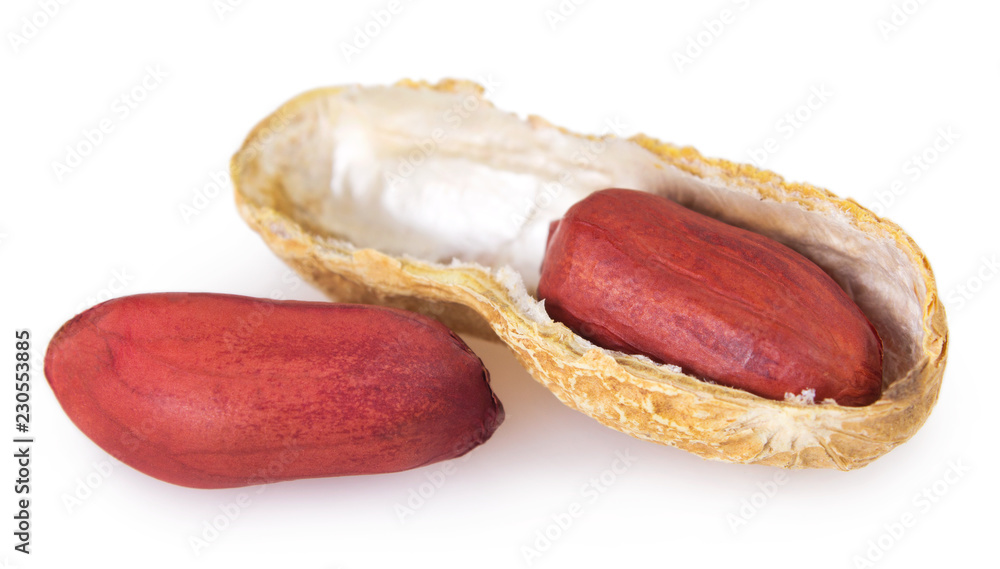 Peanut on white background Peanut on white background