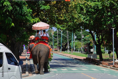 Riding Elephants: Ayutthaya, Thailand. 15-minute ride - rather pricey for such a quick excursion. If wanting to skip the ride, anyone can view the elephants in their kraals and feed them sugarcane.  photo