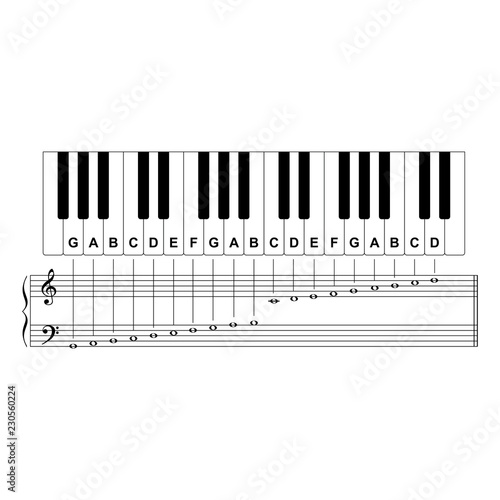 Piano Keyboard Diagram Piano Keyboard Layout On White Background Vector Illustration Stock Vector Adobe Stock