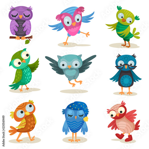 Cute colorful owlets set, sweet owl birds cartoon characters vector Illustrations on a white background
