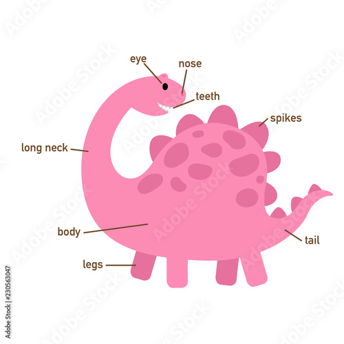 Illustration of dinosaur vocabulary part of body.vector
