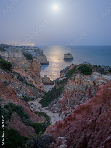 Moonligt over coastline photo