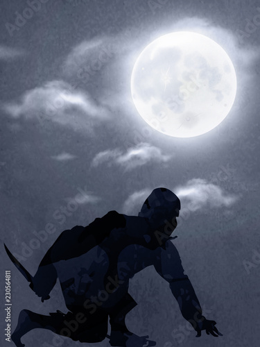 A Japanese Ninja Under The Moonlight 