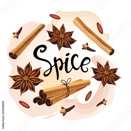 Decorative composition with cinnamon sticks, anise stars, cloves. Spice set.