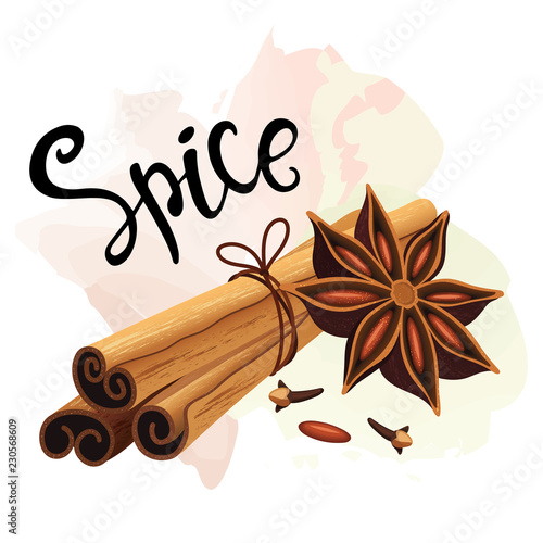 Decorative composition with cinnamon sticks, anise stars, cloves. Spice set.