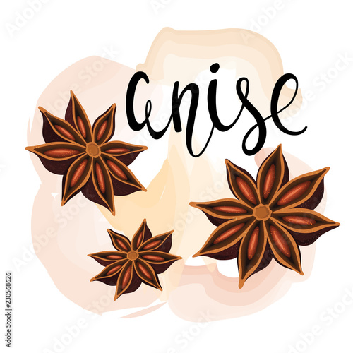 Decorative composition anise stars, cloves. Spice set.