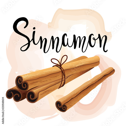 Decorative composition with cinnamon sticks. Spice set.