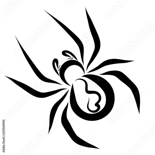 Big spider with a pattern on the back  heart  black outline