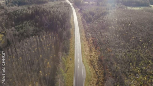 Aerial, tilt, drone shot, of a dark, asphalt road, between pine trees and leafless, birch forest, sun flares, on a sunny autumn day, in Juuka, North Karelia, Finland photo