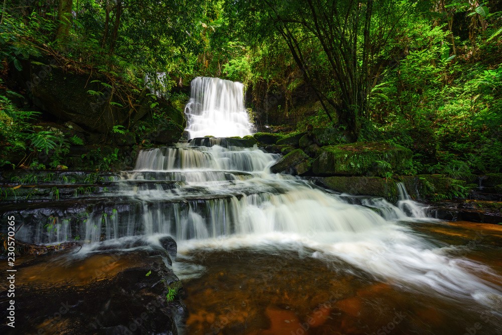 Obraz premium Smooth falling water 
