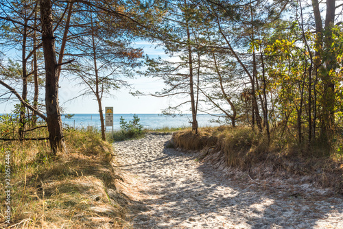 Fototapeta Naklejka Na Ścianę i Meble -  Dunes transition at the Prora beach at the seaside resort Binz on the Rügen island