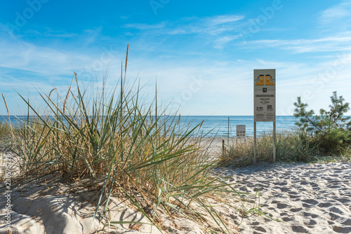 Fototapeta Naklejka Na Ścianę i Meble -  Beach grass close to the dune transition at Prora beach in the Baltic resort of Binz on the island of Rügen, Germany.