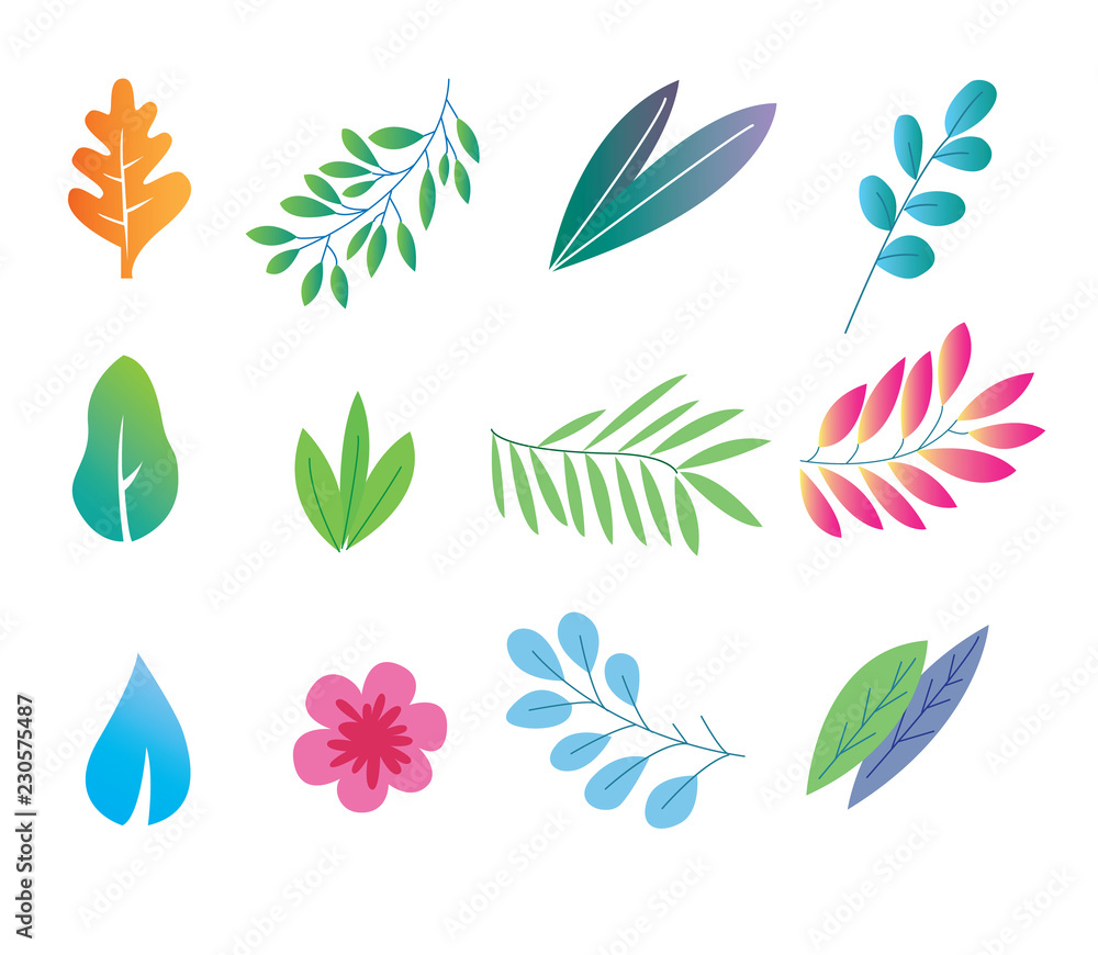 Fototapeta premium Vector set of tropical leaves and flower