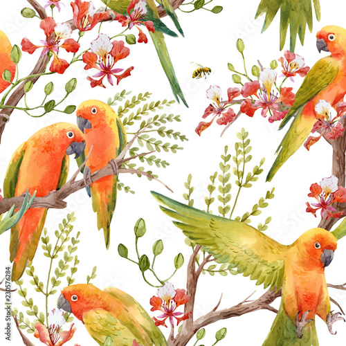 Watercolor tropical parrots vector pattern