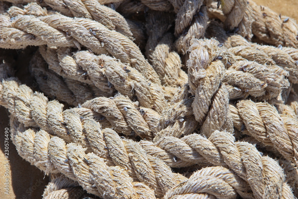 photo of a texture ship rope. covered with sand photo of a texture ship rope. covered with sand