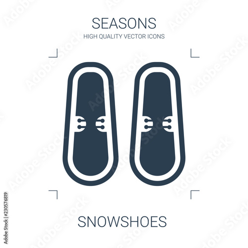 snowshoes icon