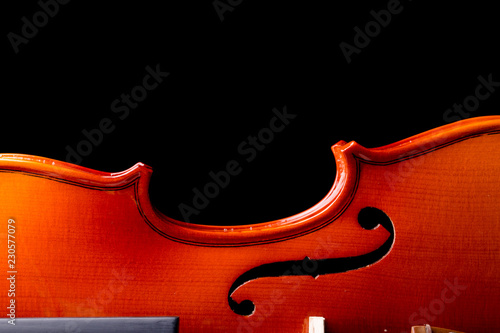 Принти на полотні Violin Orchestra Musical Instruments