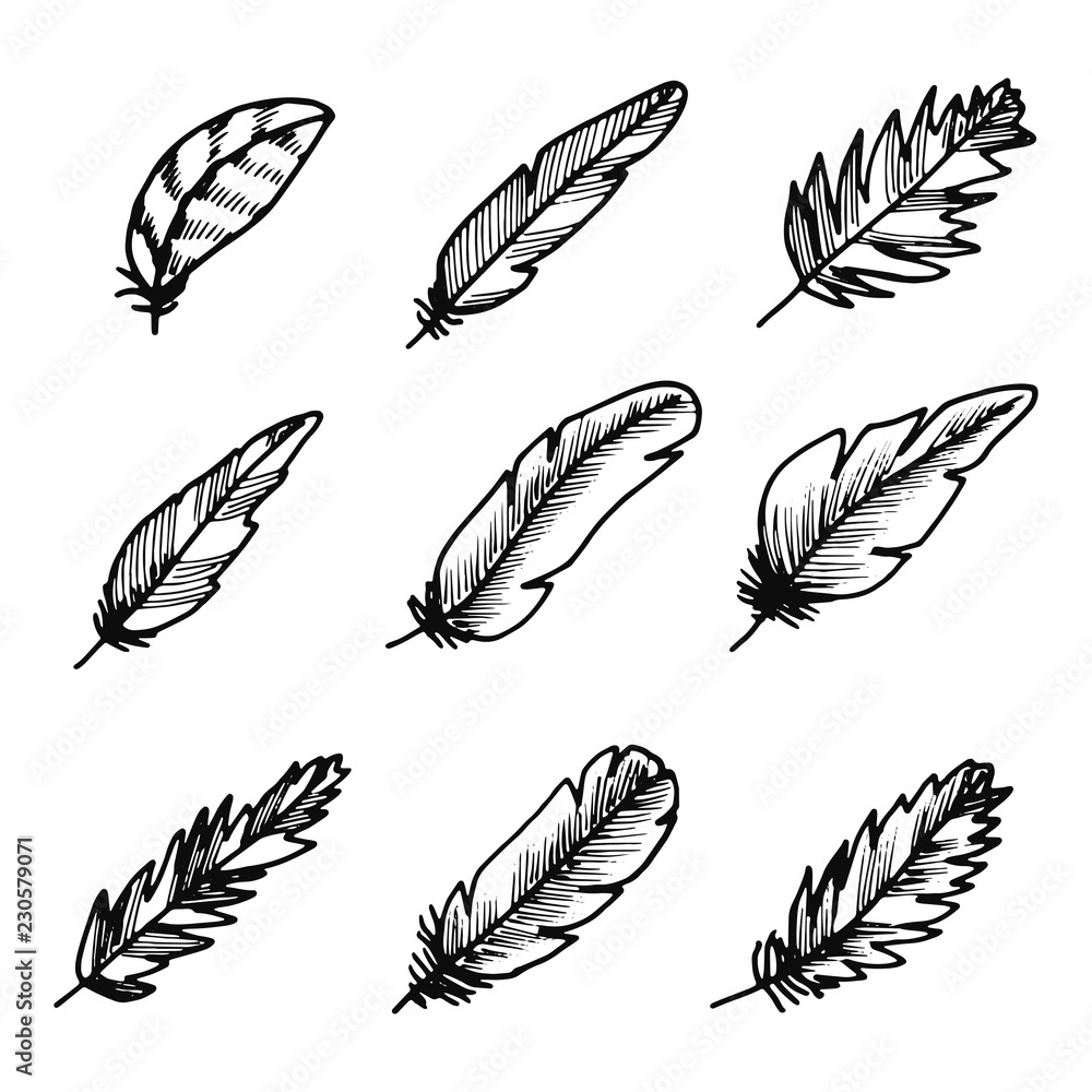bird feathers icons set. isolated objects silhouettes bird feathers icons set. isolated objects silhouettes