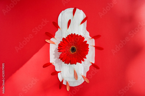 Menstrual pad with red flower on color background #230579095