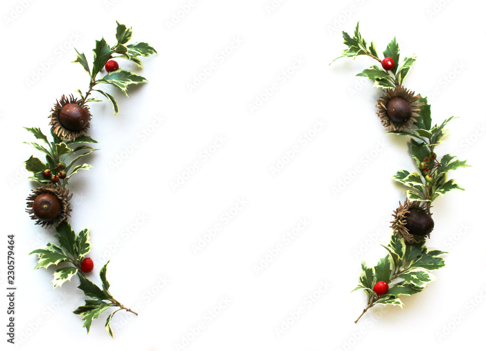 ヒイラギの葉とドングリと万両とクマタケランの実のクリスマスの飾り Stock Photo Adobe Stock