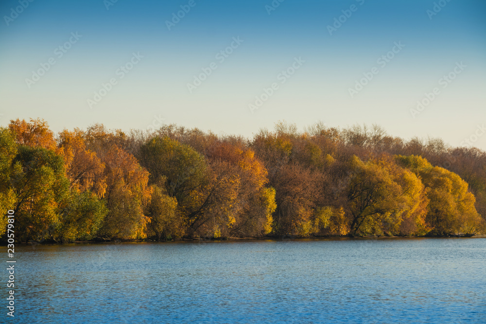 A landscape of a forest in beautiful fall colors on a bank of a calm river A landscape of a forest in beautiful fall colors on a bank of a calm river