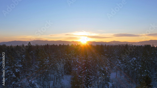 AERIAL: Flying over the idyllic snowy woods and towards the golden sunrise. © helivideo