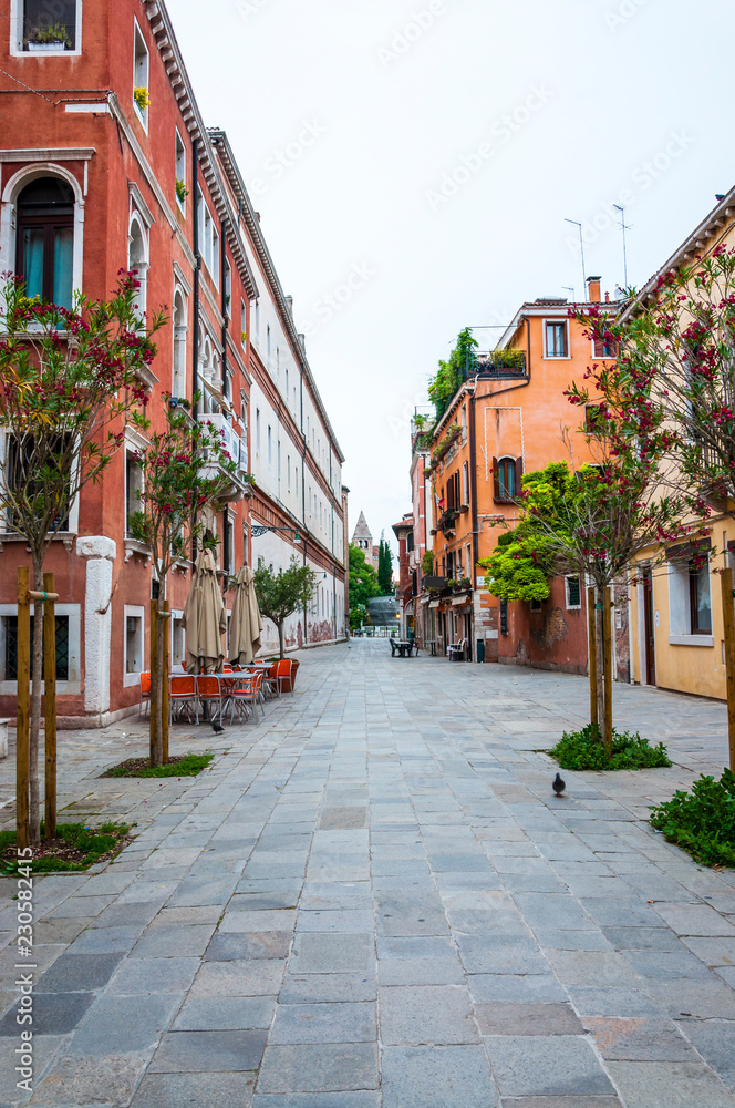 Fototapeta premium Old town street buildings and flora in Venice Italy
