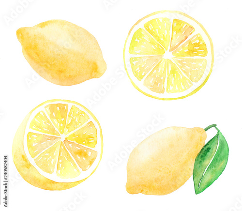 Watercolor collection of lemons. 