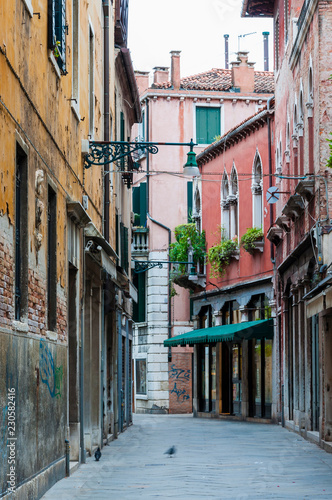 Fototapeta Naklejka Na Ścianę i Meble -  Old town street buildings and flora in Venice Italy