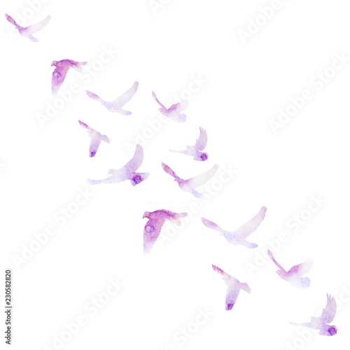 vector isolated violet watercolor silhouette of flying birds