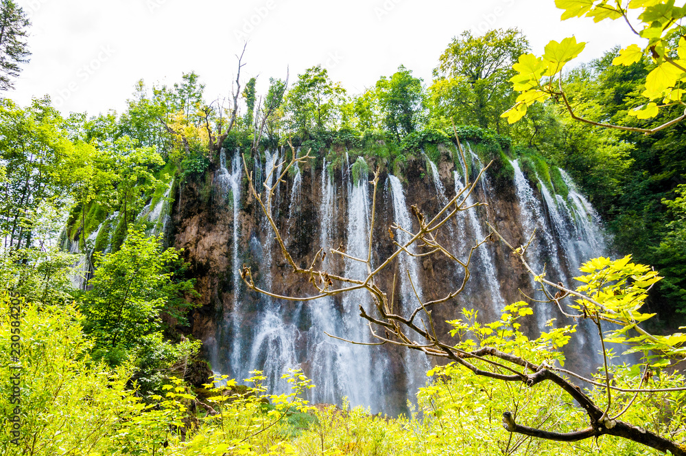 Waterfalls landscape surrounded by forest in Plitvice Lakes National Park, Croatia