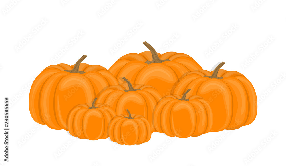 Obraz premium Vector illustration. Pile autumn pumpkins on white background. Flat design.