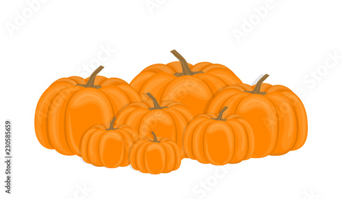 Vector illustration. Pile autumn pumpkins on white background. Flat design.