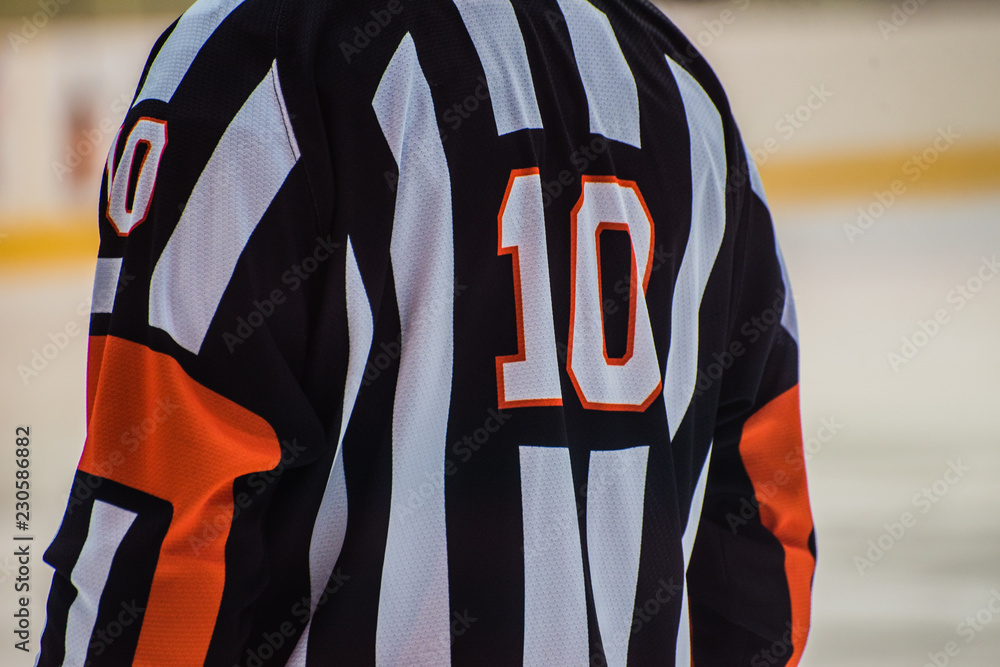 Fototapeta premium Ice Hockey Referee