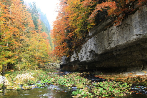 falaises dans les gorges du Doubs
