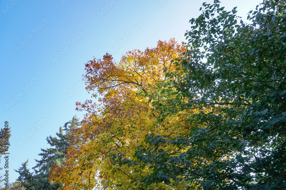 Herbst Herbst