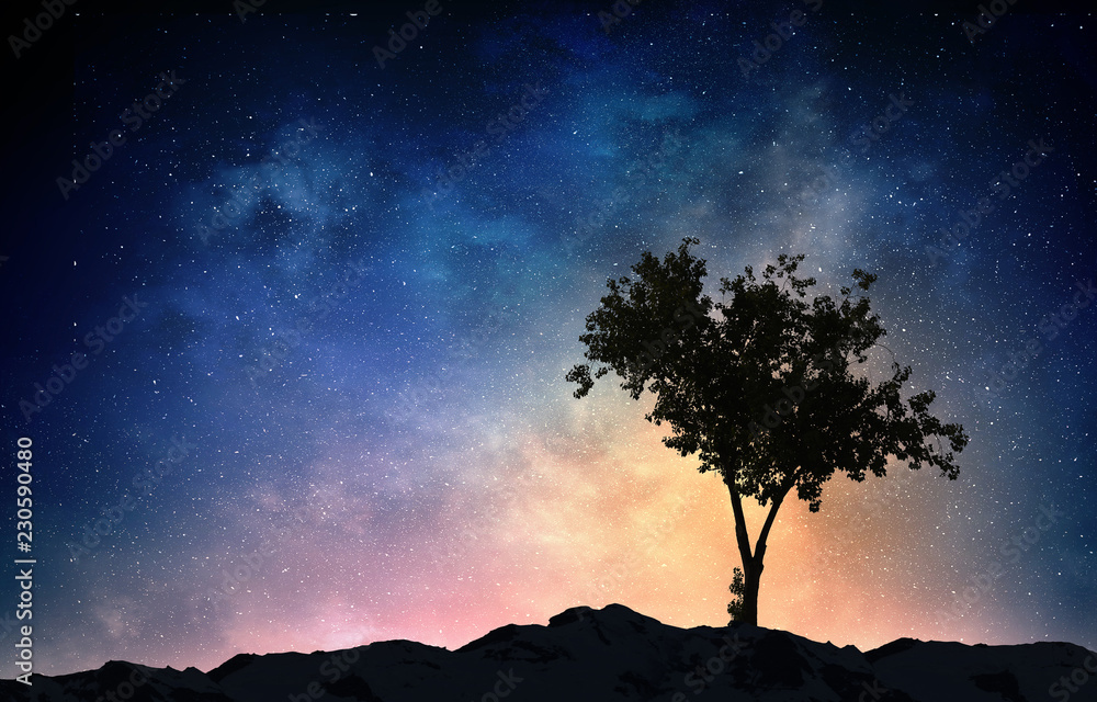 Lonely tree in night Lonely tree in night