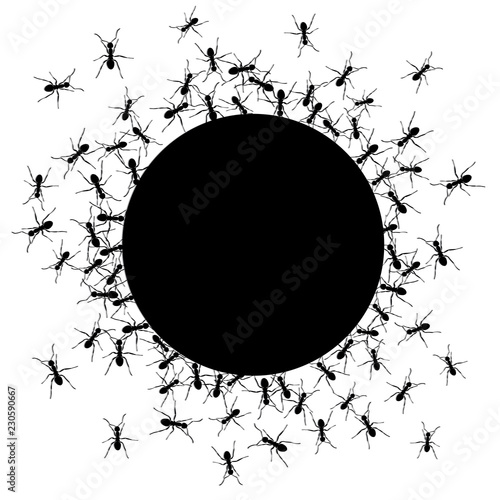 Ants Around Black Circle. Template or Seamless Pattern Representing Teamwork