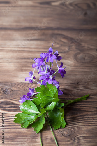 Parsley and purple flowers on old wood board