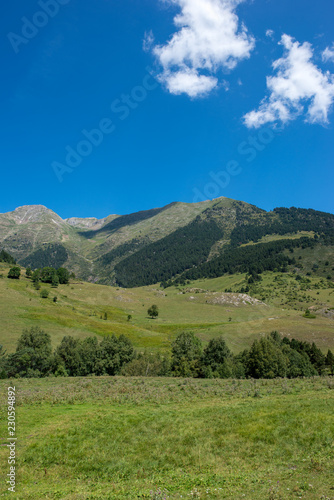 Road to Montgarri through the mountain of Aran Valley
