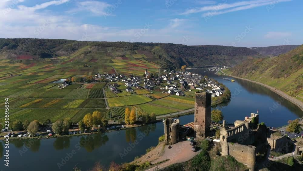 Aerial view of vineyards in autumn near Polterndorf with Metternich castle,, Moselle River, Moselle Valley, Cochem – Zell, Rhineland-Palatinate, Germany