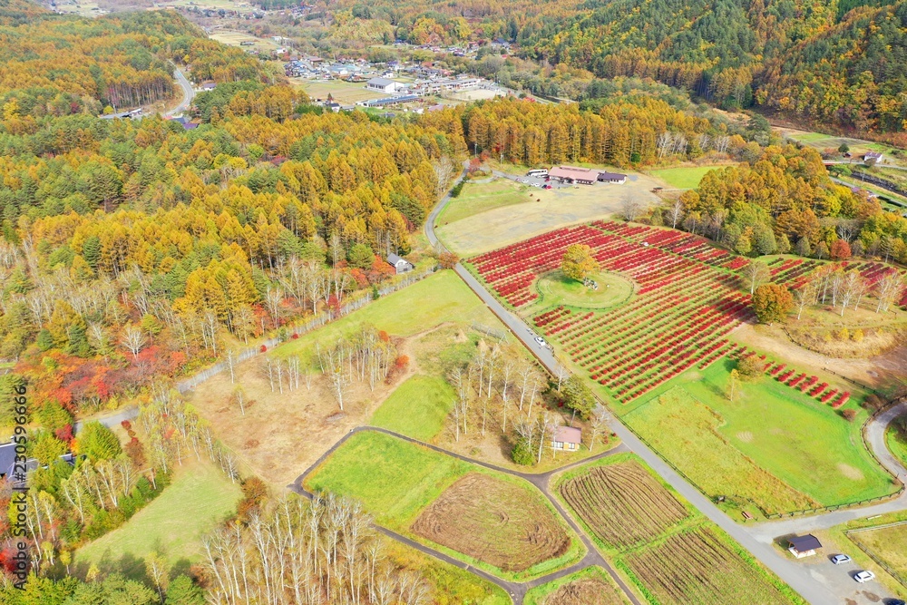 日本のリゾート地　開田高原を空撮