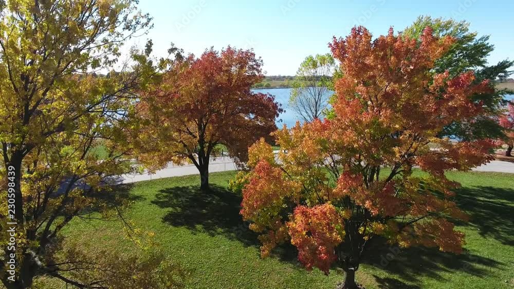 Aerial view fly through fall trees at lake Aerial view fly through fall trees at lake